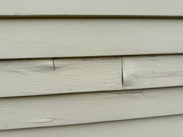 Best Engineered Wood Siding  in Elsmere, DE